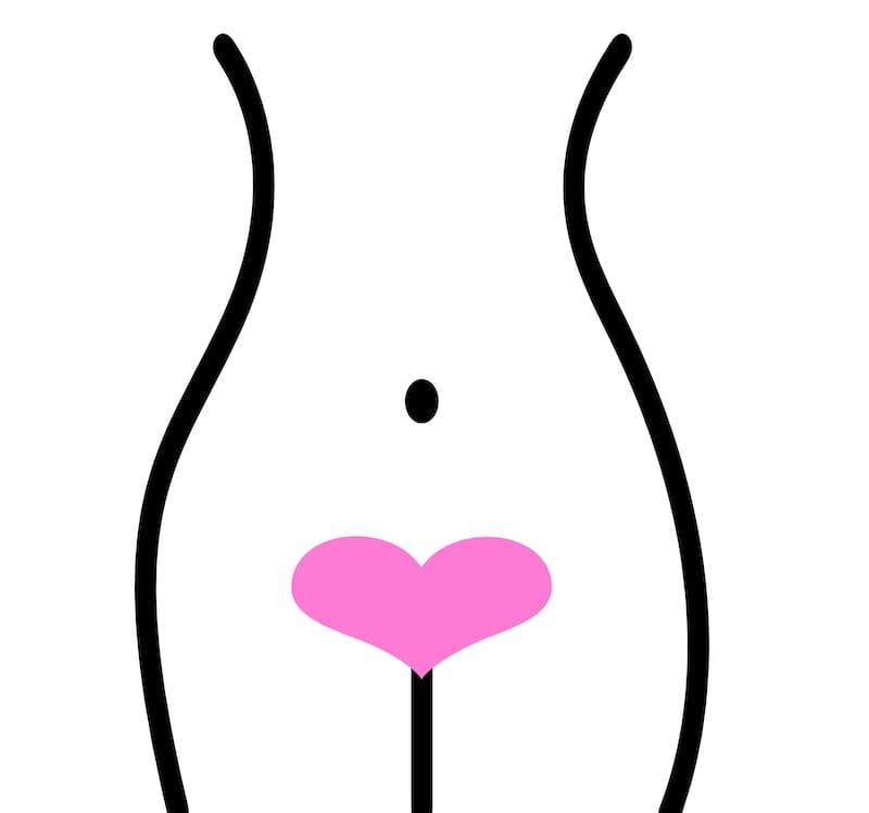 A black and white illustration of the female body with a pink heart over the vagina.
